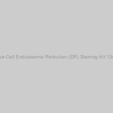 Image of Cell Navigator™ Live Cell Endoplasmic Reticulum (ER) Staining Kit *Green Fluorescence*